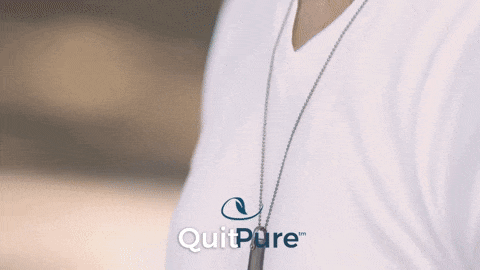 gif 03 (compact)