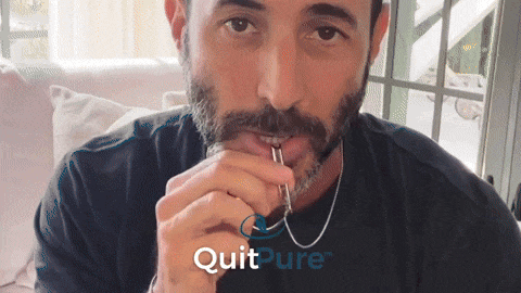 gif 04 (compact)